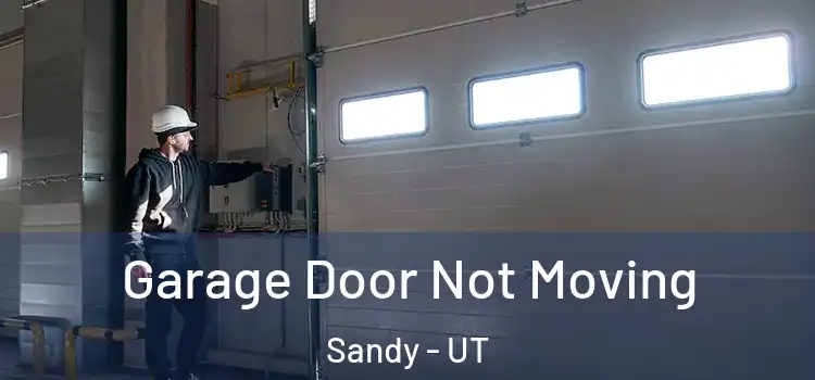  Garage Door Not Moving Sandy - UT