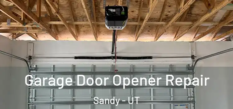  Garage Door Opener Repair Sandy - UT