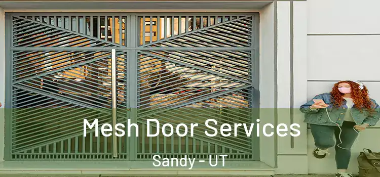 Mesh Door Services Sandy - UT